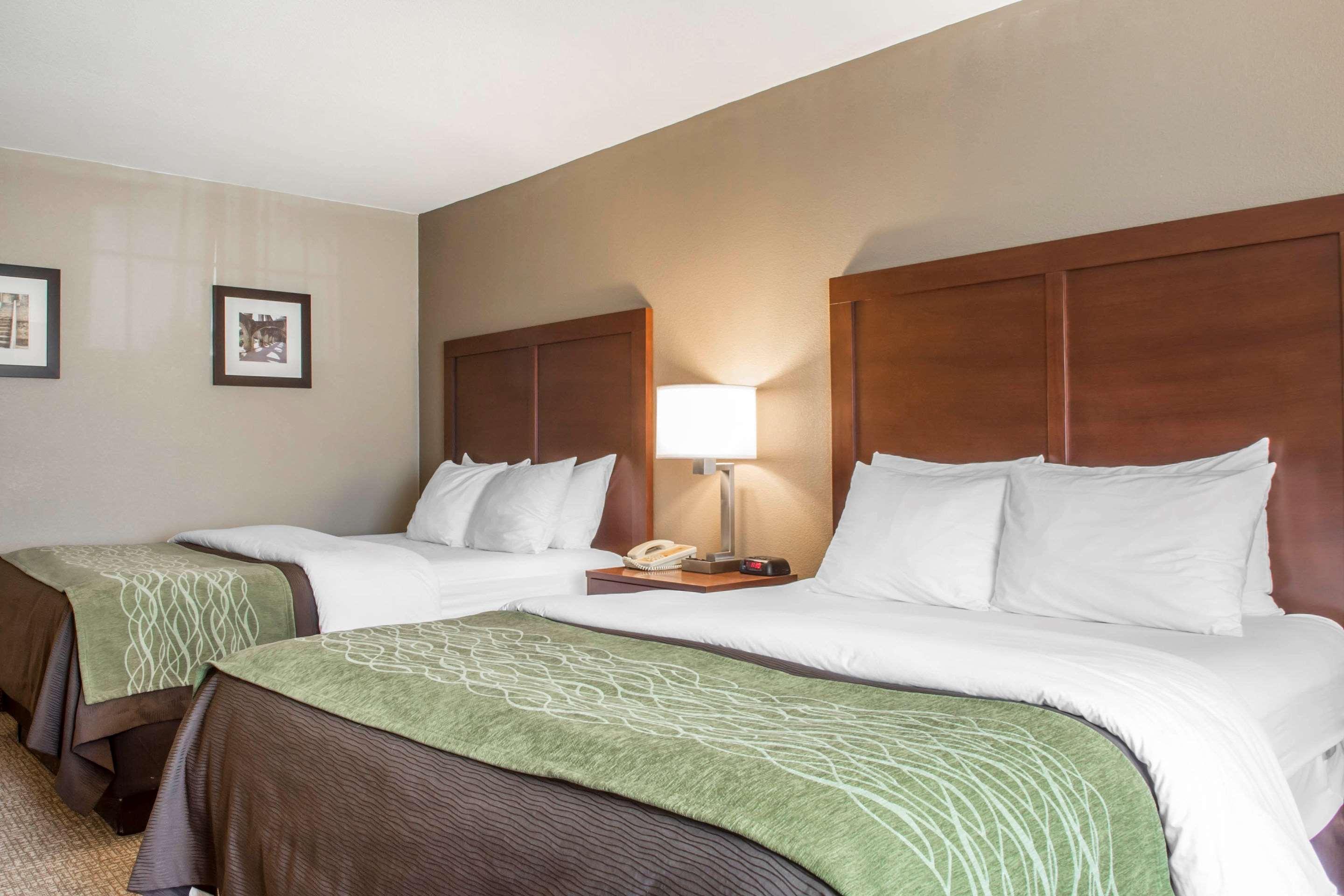 Comfort Inn Edinburg South Eksteriør billede
