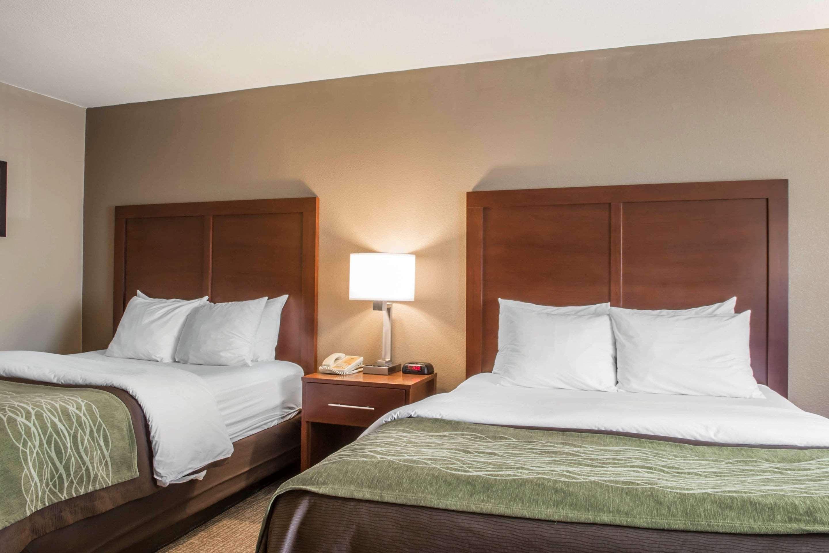 Comfort Inn Edinburg South Eksteriør billede