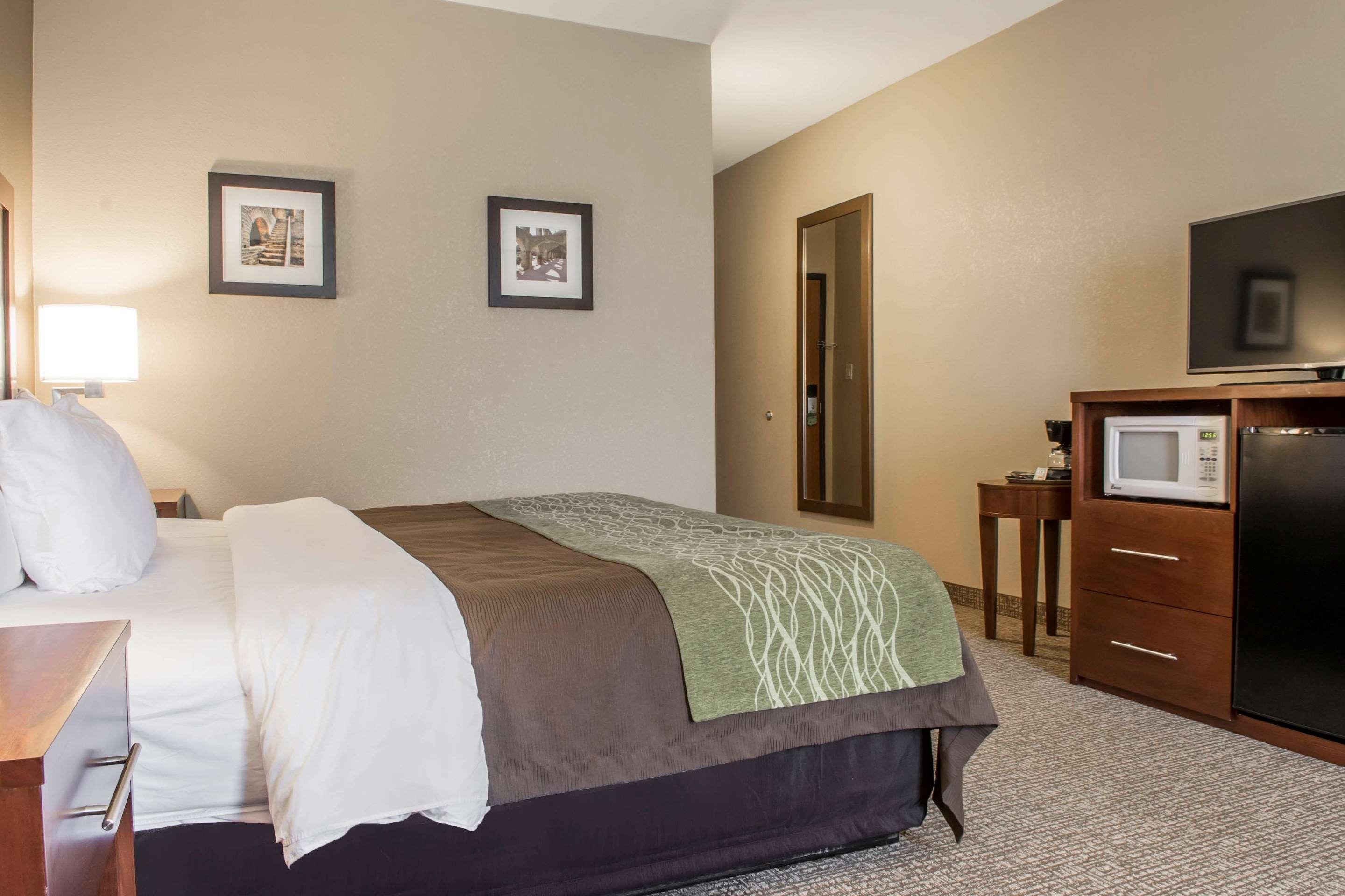 Comfort Inn Edinburg South Eksteriør billede