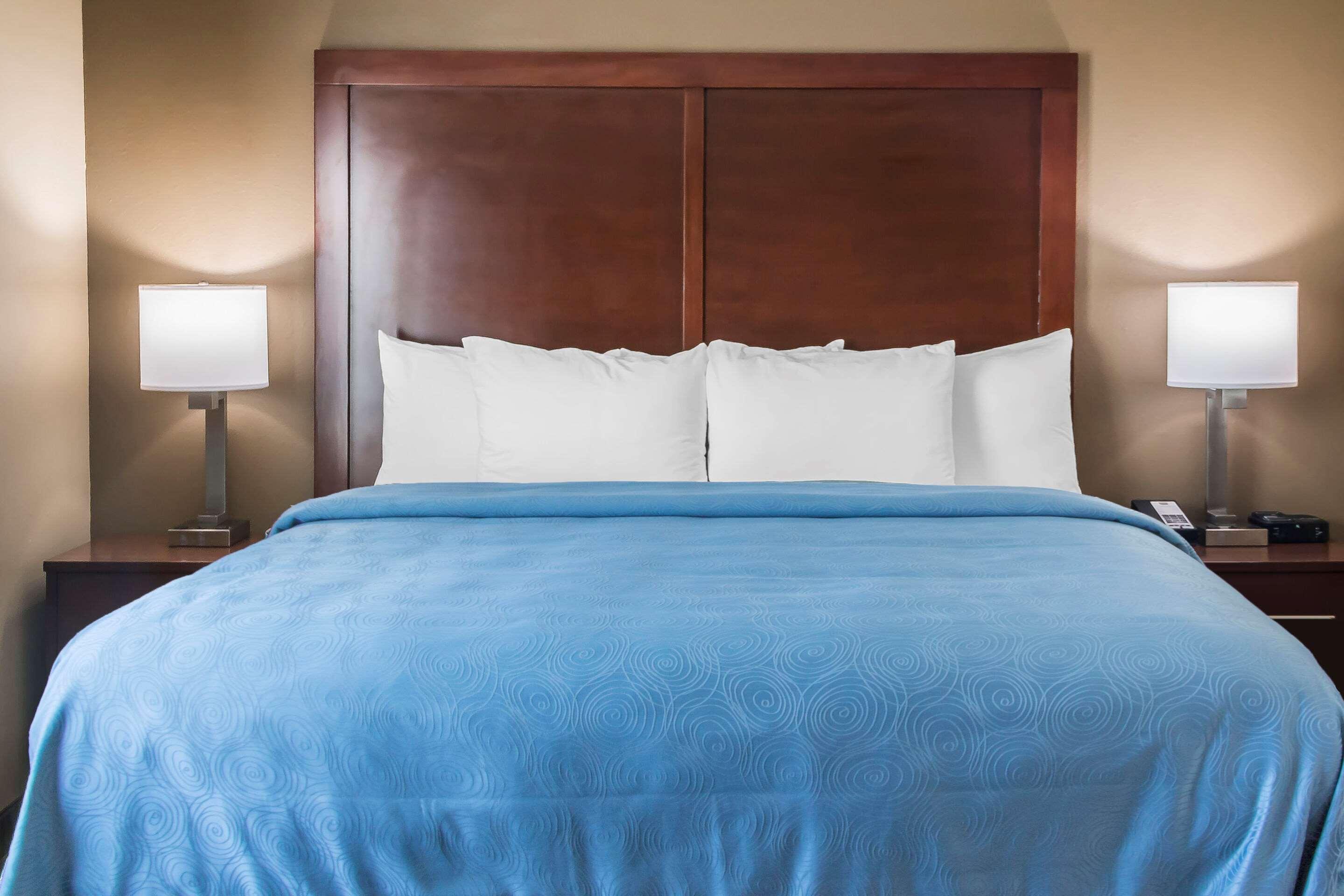 Comfort Inn Edinburg South Eksteriør billede