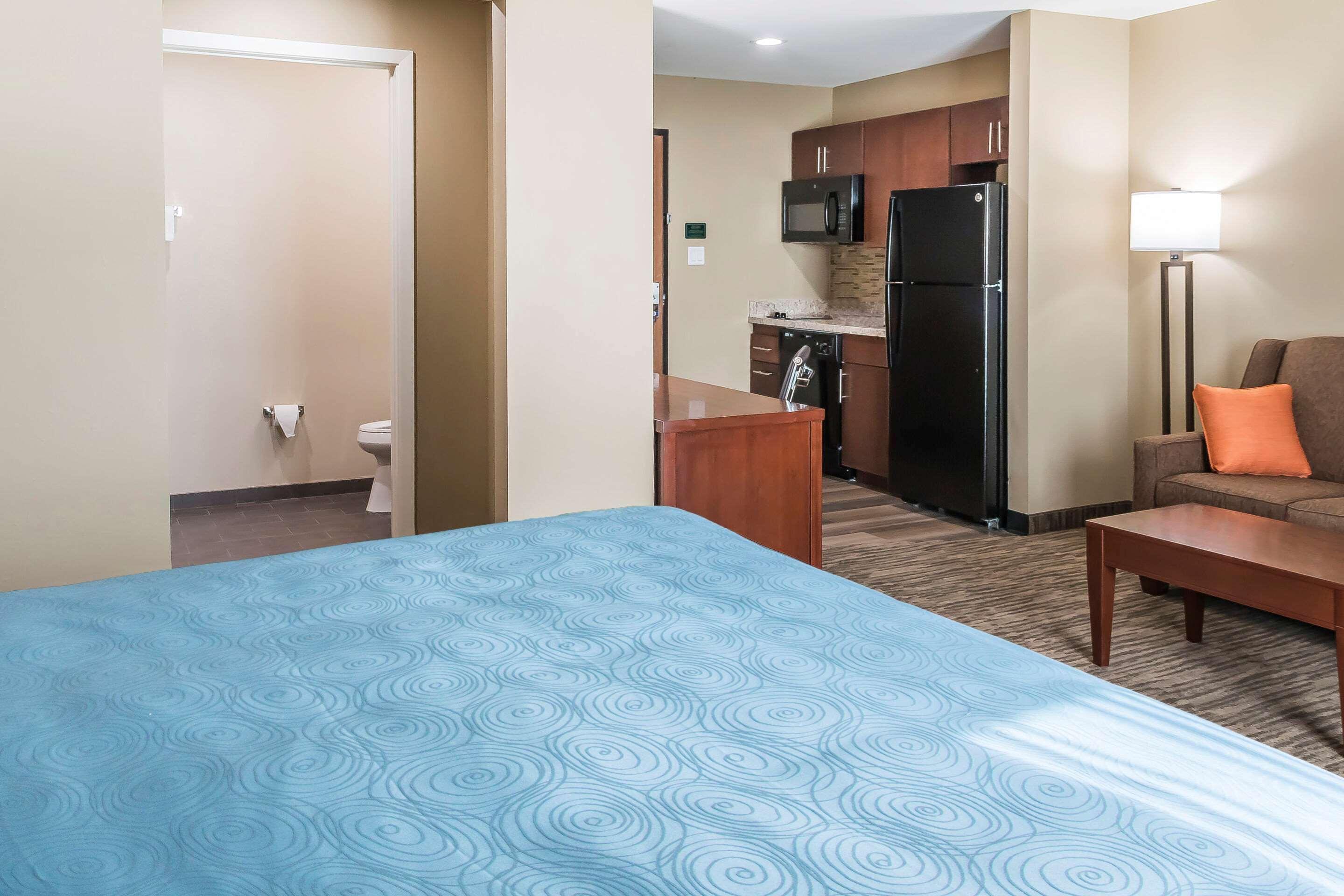 Comfort Inn Edinburg South Eksteriør billede